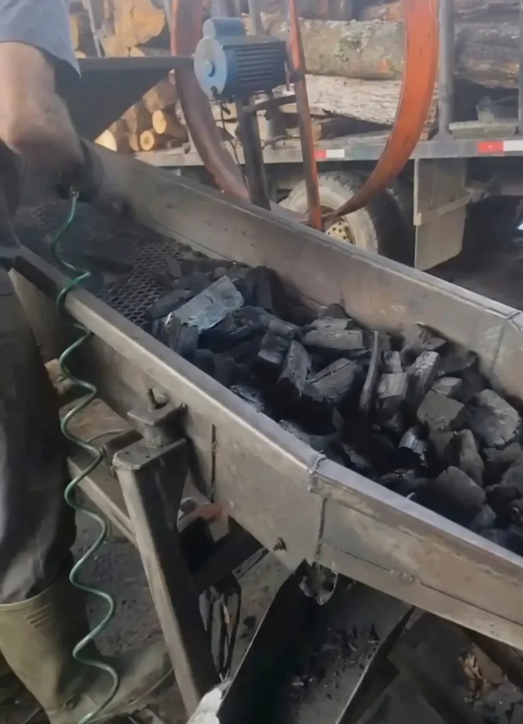 Processo de seleção e limpeza do carvão vegetal da Carvão Maria em linha industrial, garantindo menos impurezas e melhor qualidade para revenda.